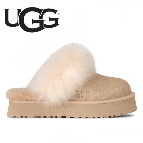 ��ǰ ������